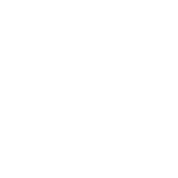 A blank white square image.