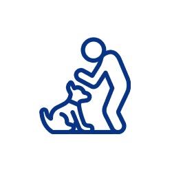 Icon of a person bending to pet a seated dog.